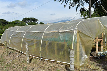 Drying tunnel with solar