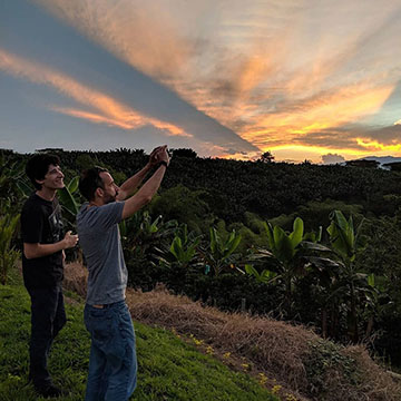 Sunset over the coffee plantation