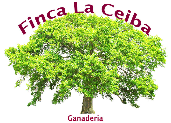 La Ceiba Logo