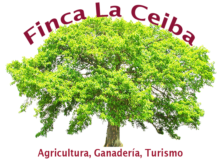 La Ceiba Logo